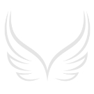 Clear Red Floral Case for iPhone 13